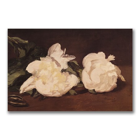 Trademark Fine Art Edouard Manet 'Branch of White Peonies' Canvas Art, 22x32 BL0405-C2232GG